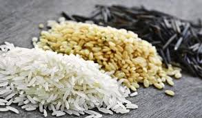 Cinq Questions Sur Le Riz Passionsante Be