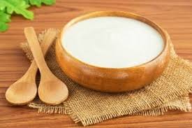 1 Bardak Tam Ev Yapimi Yogurt Kac Kalori Kackalori Com Tr