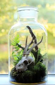 Terrariums Beautiful Enclosed Gardens You Can Build At Home Plants Terrarium Garden Terrarium