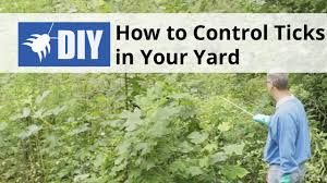 How can i get rid of ticks in my garden. How To Control Ticks In Your Yard Outdoor Tick Control Domyown Com Youtube