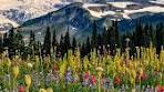 Find hotel deals for your next travel moment with Expedia. Look ...