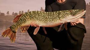Fishing Sim World Faq