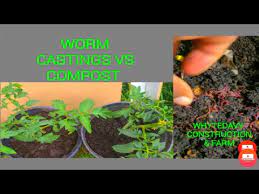 The grubs or worms consume decaying vegetation and produce waste known as castings that greatly improve its nutrient content. Worm Castings Vs Compost Which Is Better Whytedavyconstructionnfarm Youtube