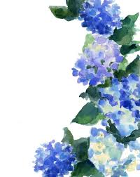 Maybe you would like to learn more about one of these? Pin By Richmondmom On Flowers Watercolor Hydrangea Watercolor Flowers Flower Painting
