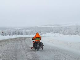 Image result for Blanco Nieve 1998 Motorcycle