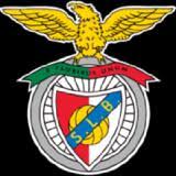 El sport lisboa e benfica, conocido simplemente como benfica, es un club polideportivo de la ciudad de lisboa, portugal. Sport Lisboa E Benfica Futebol Sad Share Price Slben Share Price