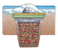 Again, it must have proper ventilation and a sturdy door. 15 Free Root Cellar Plans Diy