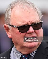 616 Saracino Stock Photos, High-Res Pictures, and Images