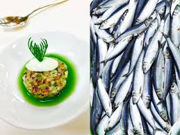 Gurkensuppchen Mit Matjestatar Matjes Fisch Suppe Matjes Gurke Suppe