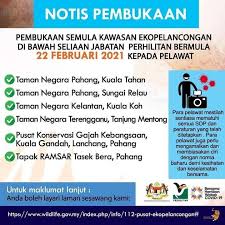 Shot for agensi nks covering area jerantut and national park pahang. Pakej Taman Negara Pahang Eco Tour Agency Jerantut Facebook 42 Photos