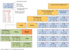 Genetic Genealogist Visualizing Data From The Shared Cm