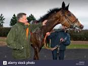 Image result for images paul nicholls horseracing