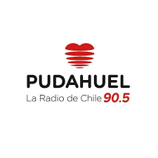 Edmunfo olfos, técnico de la selección de rugby seven, confía en su equipo para clasificar a los jj.oo. Radio Pudahuel En Directo Escuchar Online Mytuner Radio