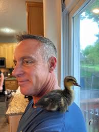 Dawn Schumann Faulkner