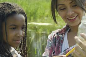 Seeing the Forest for the Bees: Researching Plant-Pollinator Relationships  in Managed Forests