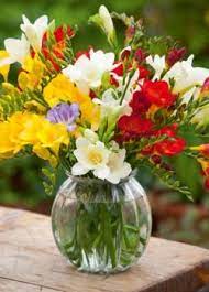 How To Plant And Grow Freesias Sarah Raven Freesia Flowers Fragrant Flowers Flower Pot Design
