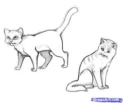 Realistic Cat Drawings How To Draw Warrior Cats Step By Step Characters Pop Culture Free Cat Drawing For Kid Cat Drawing Realistic Cat Drawing