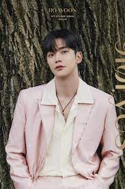 He played his first leading role in 2019 mbc 's television series, extraordinary you. Sf9 S Rowoon To Sit Out From Promotions Due To Back And Knee Pain