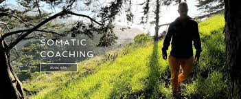 In The Service Of Life: Somatic Coaching