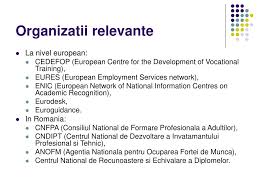 Din decembrie 2017 are un certificat de calificare profesionala, cu durata de 720 ore, ca electrician. Ppt Europass Powerpoint Presentation Free Download Id 1339404