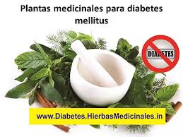 Las plantas que curan la diabetes son: Plantas Medicinales Para Diabetes Mellitus Video Dailymotion