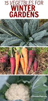 If you want to see how the shadows fall in six months, check the shadows of more on houzz 10 easy edibles to grow in containers 6 things to know before you start growing your. 15 No Fuss Plants For The Fall And Winter Vegetable Garden Schneiderpeeps