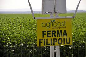 Băndoiu, plopi (raţa), măgureni şi măraşu. Vin Seicii In Insula Mare A BrÄilei ViaÅ£a LiberÄ GalaÅ£i