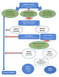 Citation Flow Chart Parking And Transportation