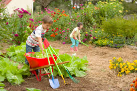 For more ideas, see the bbc's ' gardening with children' page. Family Gardens And Kids Gardening Ideas Hgtv