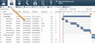 technical gantt charts online