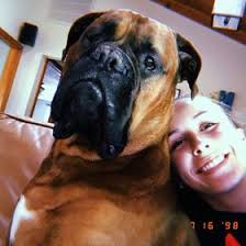 Madison Bradshaw (mbradshaw00)