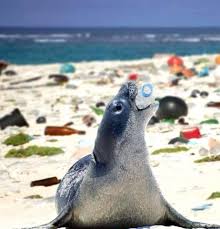 Topragin Plastigi Emme Yetenegi Olmadigi Icin Cok Uzun Sure Boyunca Toprakta Kalan Plastik Bunyesindeki Zehirli Zararli Kimya Hayvan Ekoloji Kuresel Isinma