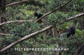 Watch The Best Youtube Videos Online When Somebody Challenges You Fight Back Be Brutal Be Tough Sathya Nature Photography Live Life Enjoy Life