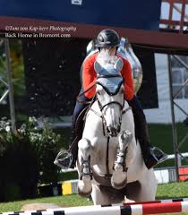 It S All Between The Ears Show Jumping Equestrian Photo