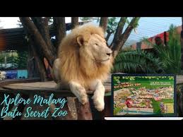 A lawyer is given the mission of revitalising a bankrupt zoo that has no animals. Xplore Malang Batu Secret Zoo Destinasi Wisata Yang Wajib Dikunjungi Di Batu Kaskus