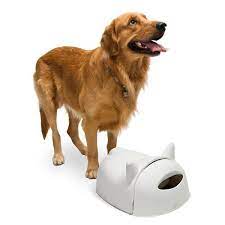 qualy 大狗先生飼料碗 qualy 碗 碗架 pinkoi mr dog golden retriever retriever