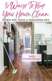 Worried About Dog Hair Everywhere Don T Let That Stop You From Adopting A Pet Here Are 5 Tips For Keeping The Clean House House Cleaning Tips Cleaning Hacks