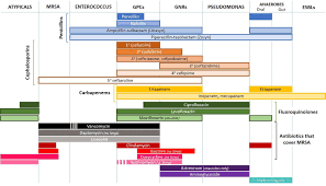 Image Result For Antibiotic Spectrum Chart Chart Bar