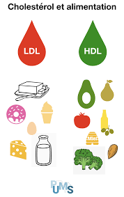 Cholesterol Et Alimentation Cholesterol Bon Cholesterol Taux De Cholesterol