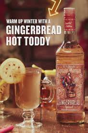 Gingerbread Hot Toddy Video In 2020 Drinks Alcohol Recipes Boozy Drinks Alcohol Drink Recipes