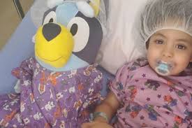 Fundraiser for Amanda Eberwein by Nina Francisco : Fighting with Jordan