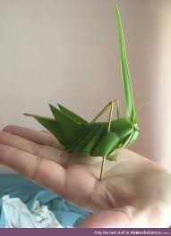 Grasshopper Made From One Palm Leaf Funsubstance Palm Leaves Palm Grasshopper
