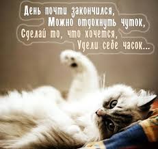 щедрый вечер добрый вечер добрым людям на весь вечер Dobryj Vecher Druzya Kartinki Pozhelaniya Dobrogo Vechera Druzyam Gifki Prikolnye Otkrytki Foto Krasivye Stihi In 2020 Animals Good Night Humor