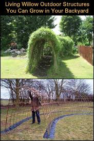 Living Willow Outdoor Structures You Can Grow In Your Backyard Backyard Livin Gardendeko In 2020 Backyard Living Willow Outdoor