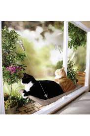 bundera sunny seat cama asilan kedi yatagi yapisan vantuzlu hamagi minder trendyol mi nder kedi canta