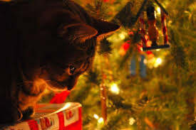 You may be able to resist poking around the christmas tree until december 25, but your cat has different plans. 8 Steps To Cat Proof And Dog Proof Your Christmas Tree