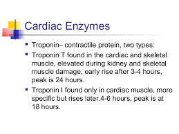 Cardiac Enzymes