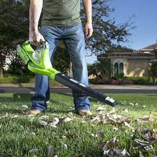 Here S What People Are Buying On Amazon Right Now Leaf Blowers Cordless Leaf Blowers Greenworks