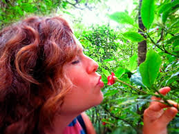 What Costa Rica Taught Me About Life