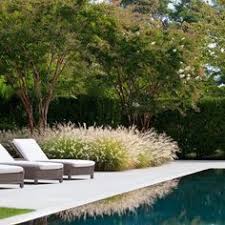 Weekend Inspirations Two Thirty Five Designs In 2020 Modern Landscaping Pool Landscape Design Pool Landscaping